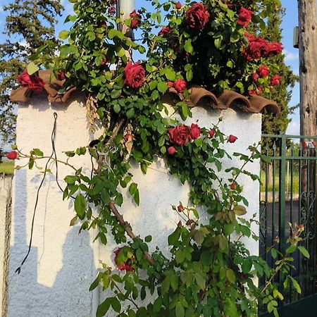 Tagarades Πετρινη Κατοικια Στην Φυση 빌라 외부 사진