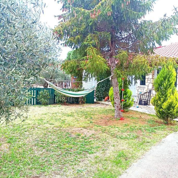 Tagarades Πετρινη Κατοικια Στην Φυση 빌라 외부 사진