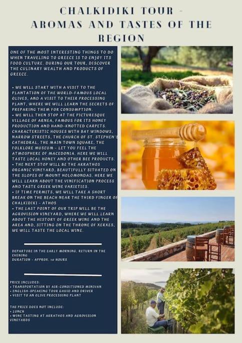 Tagarades Πετρινη Κατοικια Στην Φυση 빌라 외부 사진